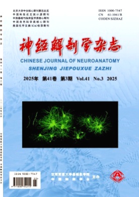 神经解剖学杂志杂志